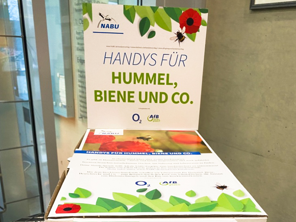 Altgerte knnen in den bereitgestellten Sammelboxen abgegeben werden (Foto: Helena Frink)