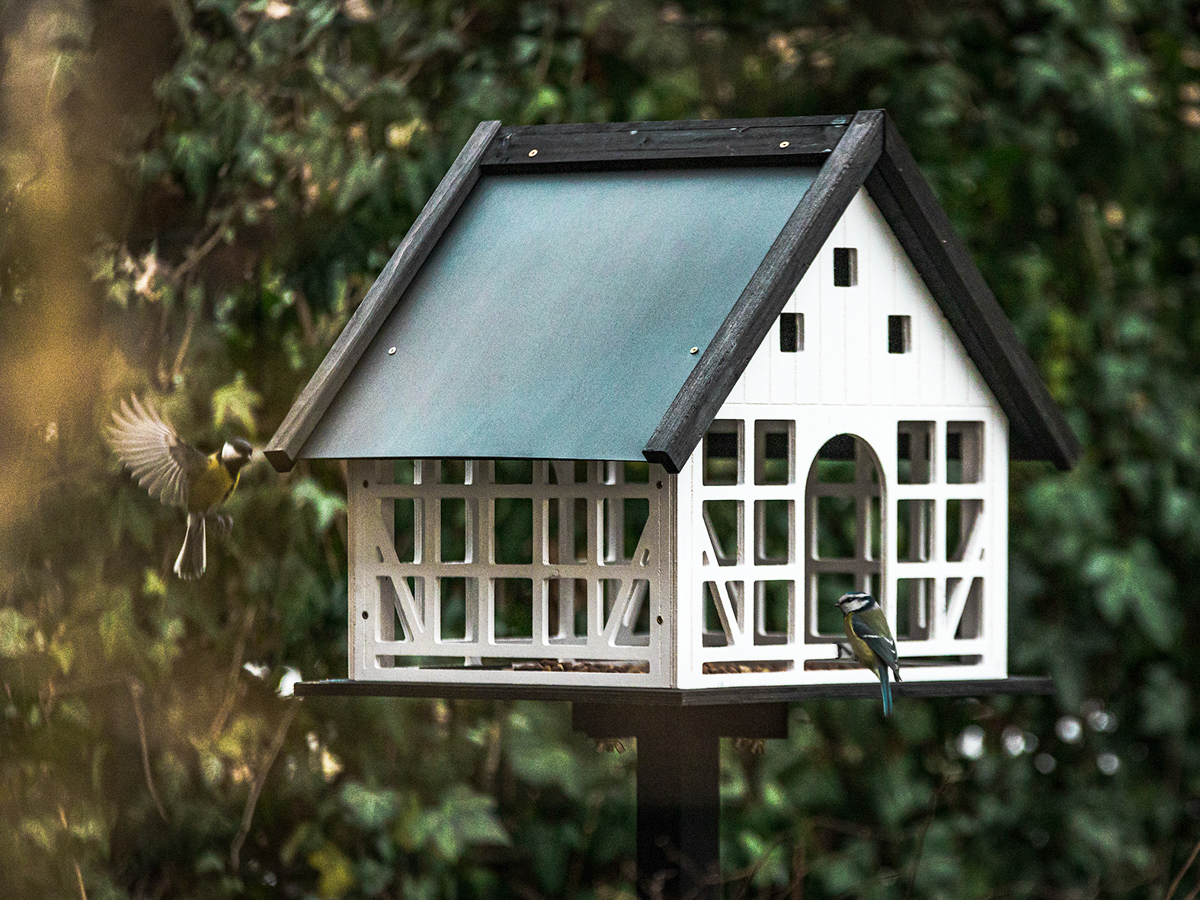 Manchmal muss es luftig sein. Aber anders als beim Vogelhaus werden Wohnhuser demnchst in Sachen Zugluft dicht gemacht  und krftig auf das Energiesparen getrimmt. Das Mieter-Gtesiegel Mein Fair-Mieter hat dabei die Kosten im Blick und warnt vor einer Klima-Miete. (Foto : Mein Fair-Mieter)