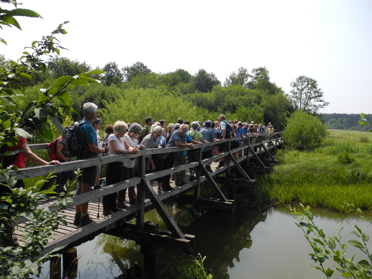 Der Westerwald-Verein bietet auch in diesem Jahr erlebnisreiche gefhrte Wanderungen. (Foto: Westerwald-Verein)