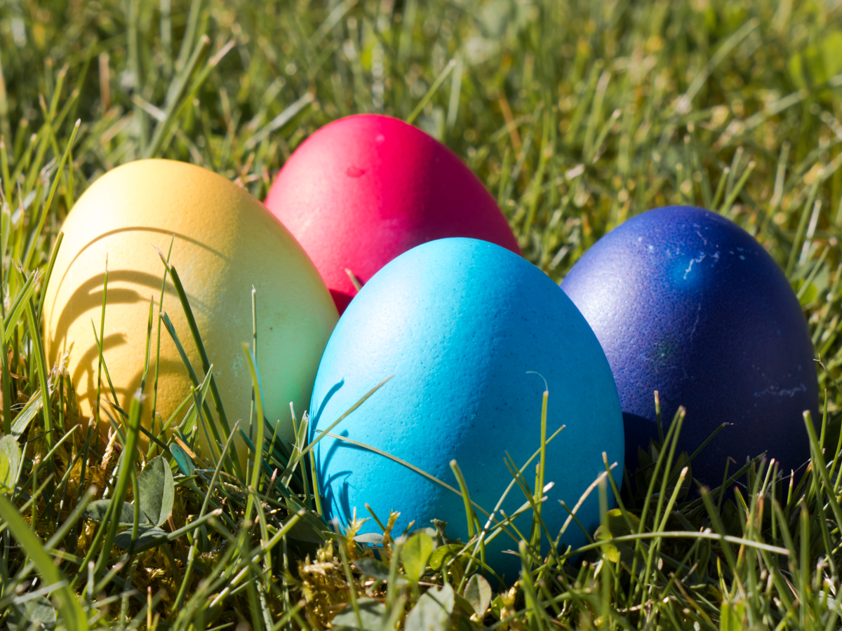 Was war zuerst da: Ostern oder das angemalte Ei? 