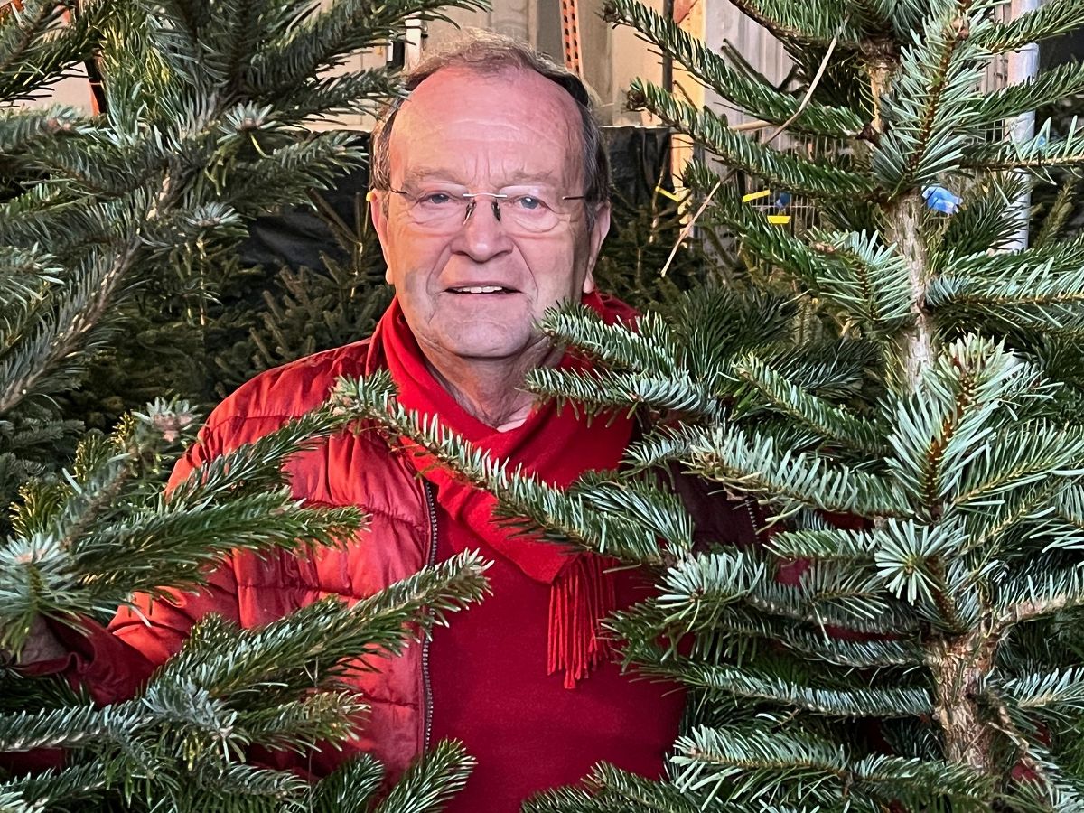 Wo Weihnachtsbume Gutes tun