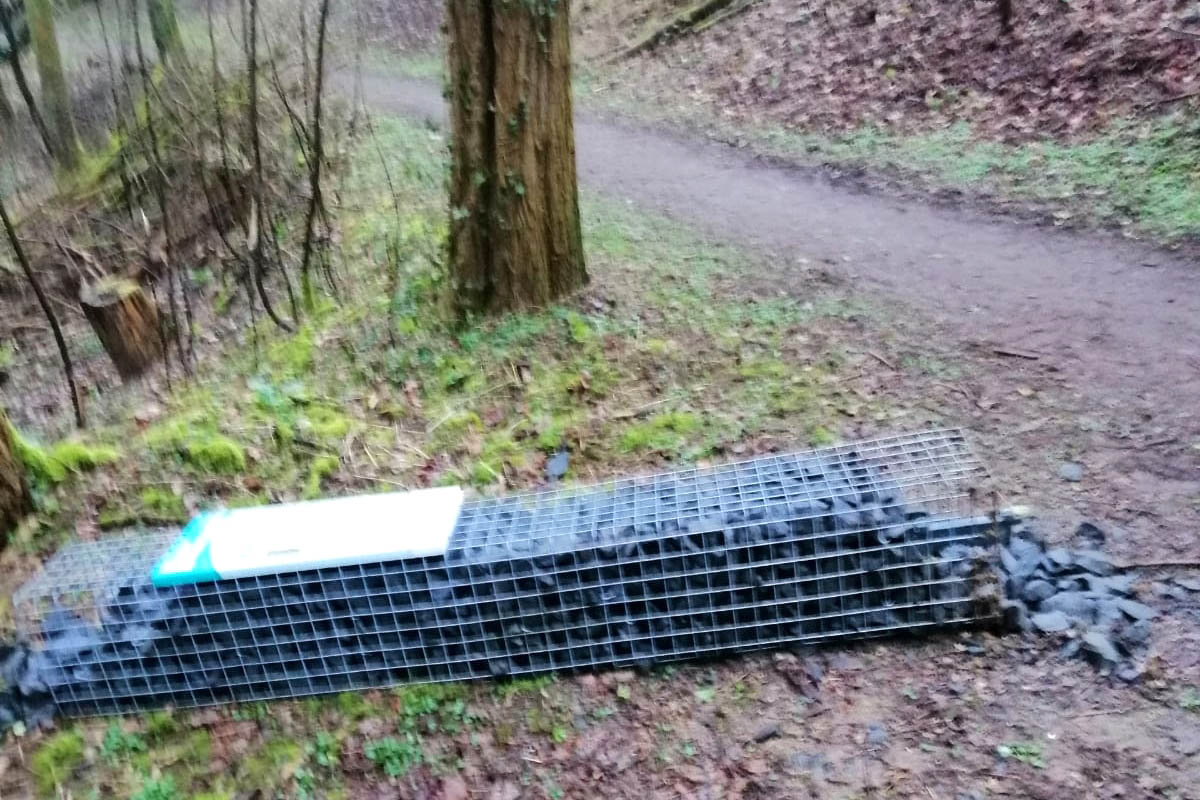 Vandalismus in der Linzer Verschnerung