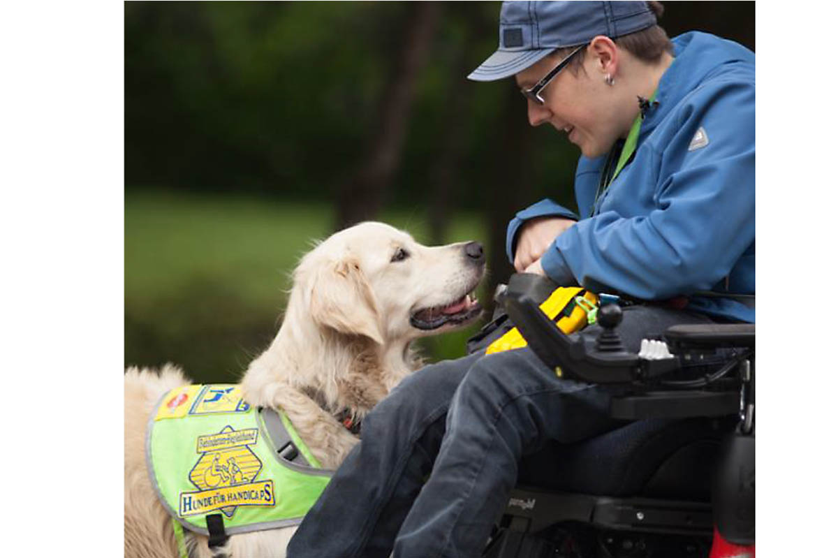 Geliebter Helfer auf vier Pfoten: Vor genau 30 Jahren haben die Grndungsmitglieder von Hunde fr Handicaps begonnen, Assistenzhunde auszubilden. Foto: Hunde fr Handicaps e. V./A. Senkel