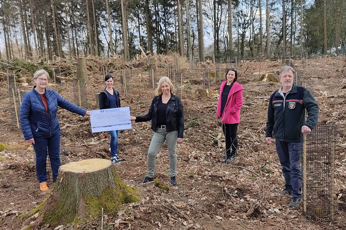 Westerwlder lieben ihren Wald