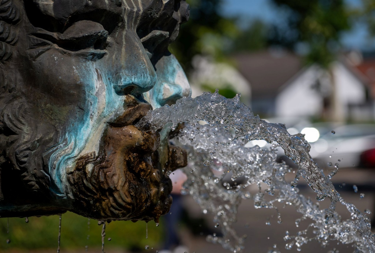 Hitzewelle in Rheinland-Pfalz: Temperaturen bis zu 38 Grad erwartet