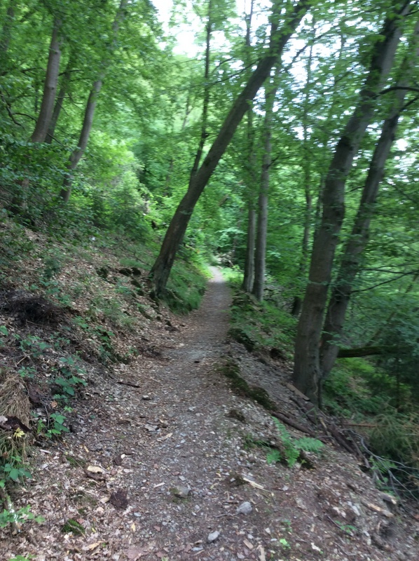 Schmaler alpiner Pfad parallel der Sieg.