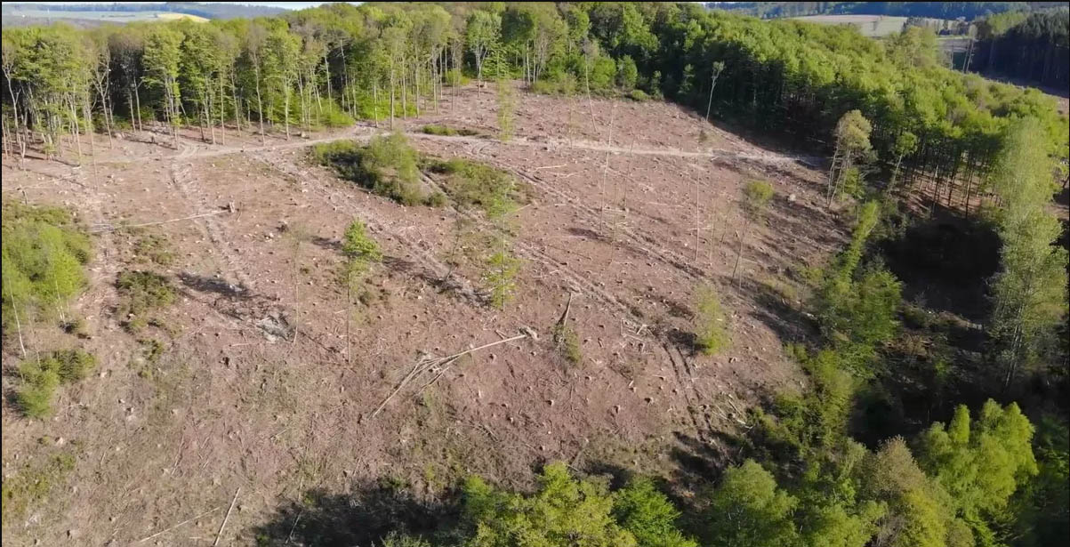 Der Klimawandel ist vor unserer Haustre angekommen