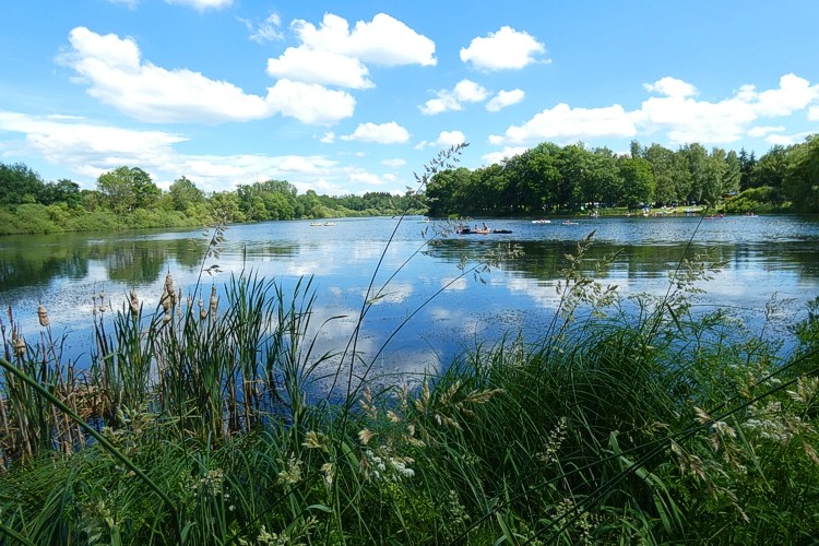 Blick ber den Hausweiher. Fotos: Axel Griebling