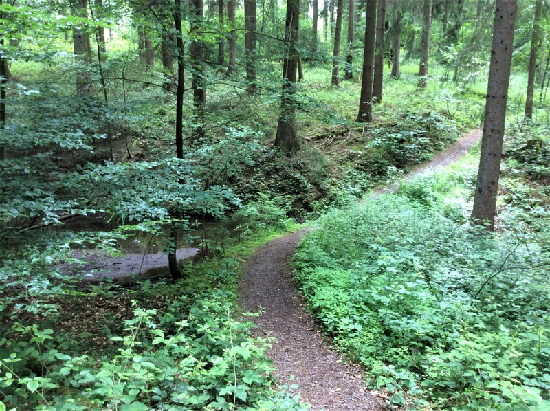 Schne Pfade hinterm Mobilheimpark.