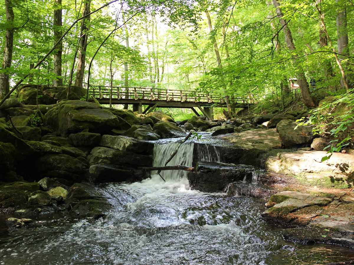 Die Holzbachschlucht. (Foto: Bjrn Schumacher)