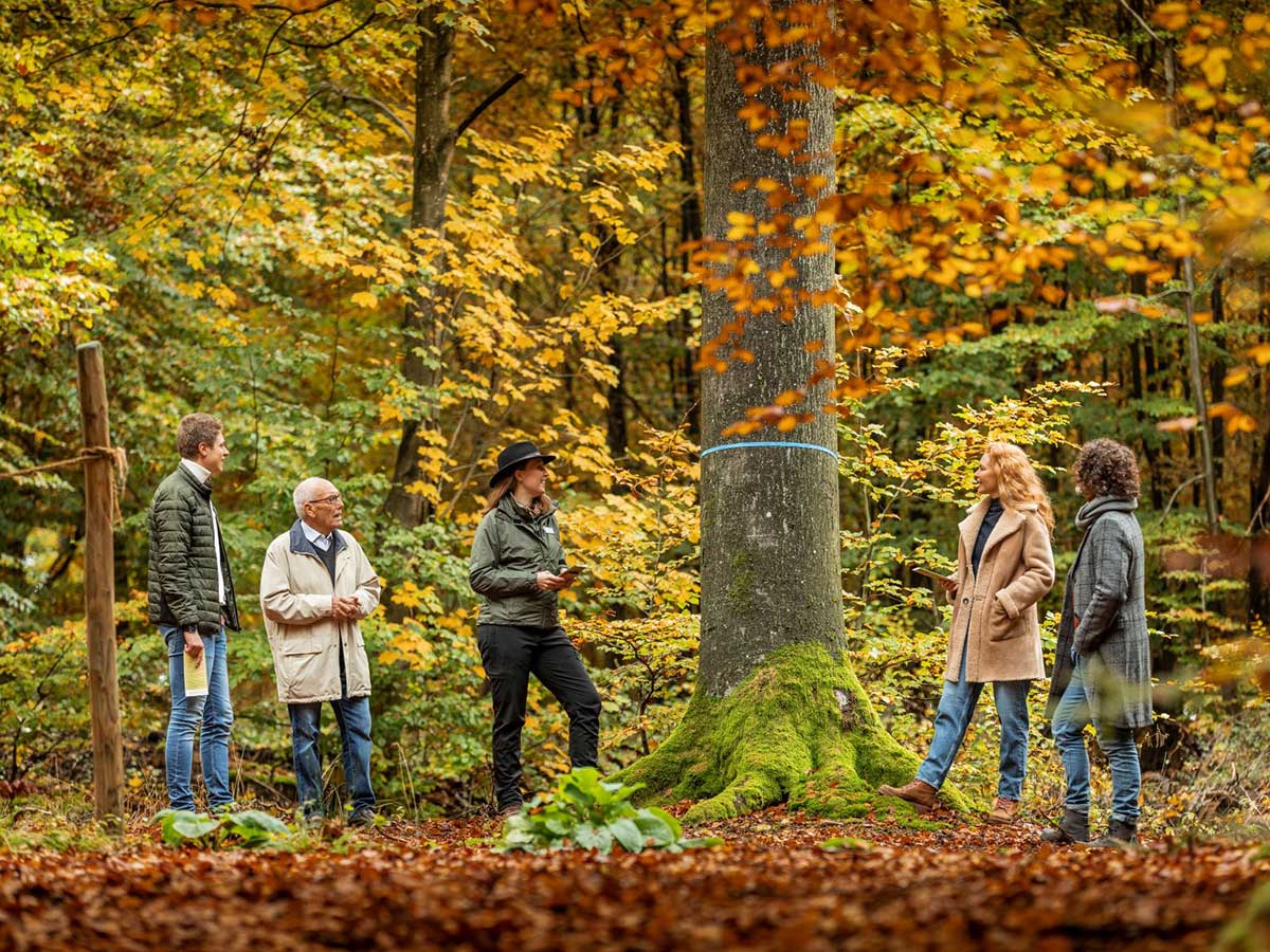 Bei einer Waldfhrung den Friedwald Wildenburger Land kennenlernen