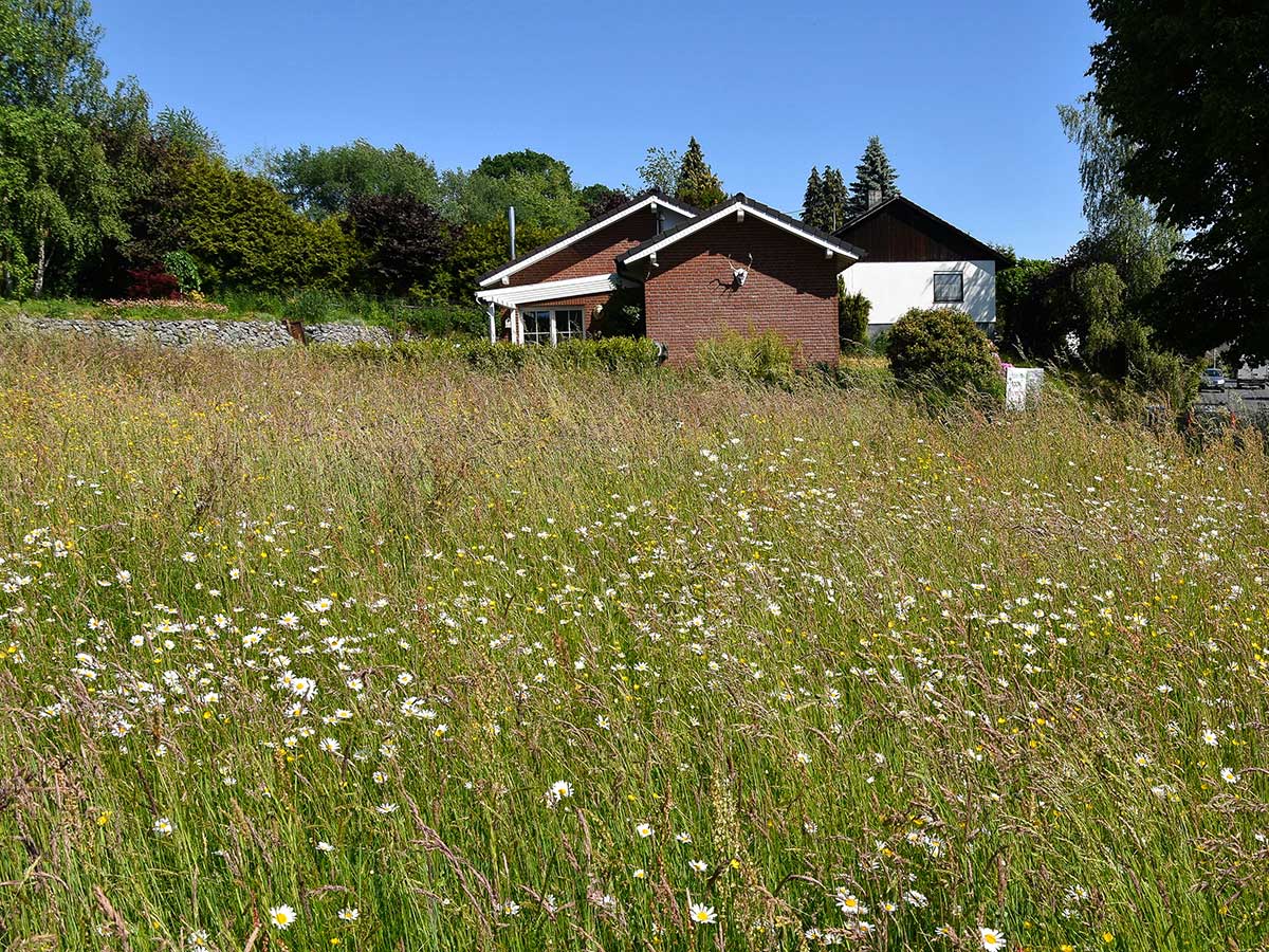 Prachter Wiese muss erhalten bleiben - NI lehnt geplanten Einkaufsmarkt in Pracht ab!