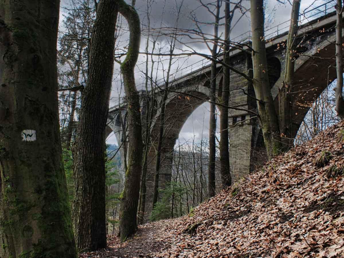 Gefhrte Wanderung zu einer der schnsten Eisenbahnbrcken Deutschlands