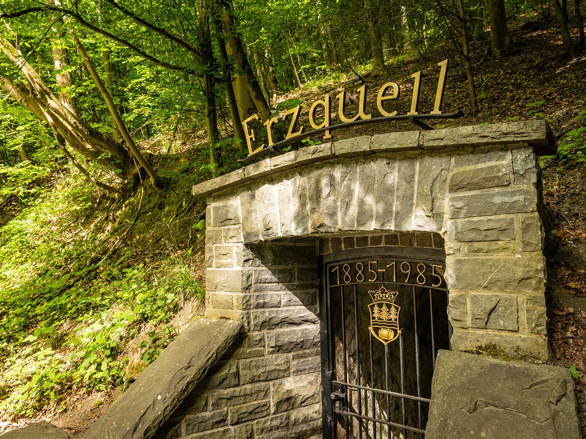 Gefhrte Wanderung Bergbau, Bier und Baumriesen