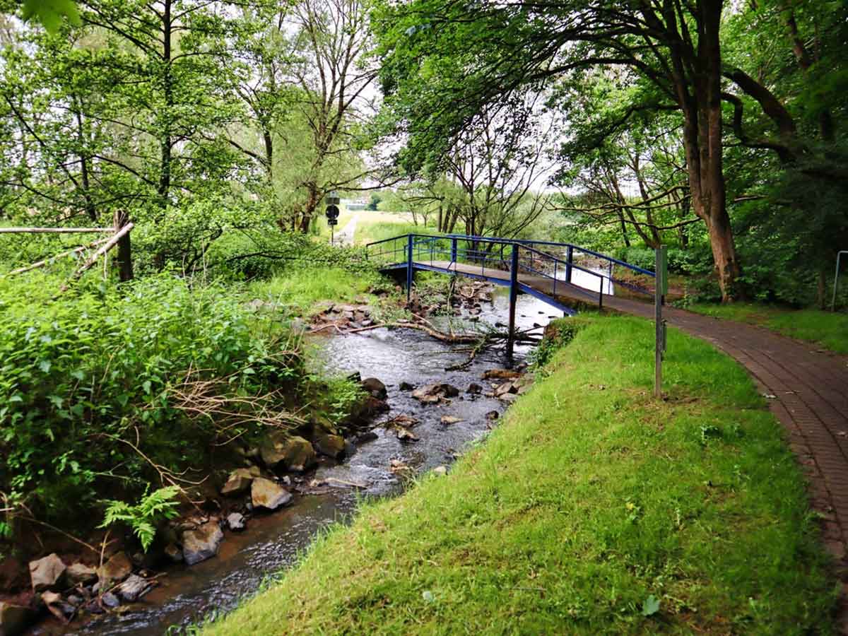 Gefhrte Wanderung durchs romantische Wiedtal bei Altenkirchen zum Obernauer Kopf