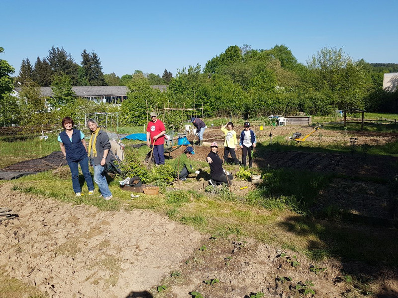 Interkultureller Garten: Gemeinsam arbeiten und feiern 