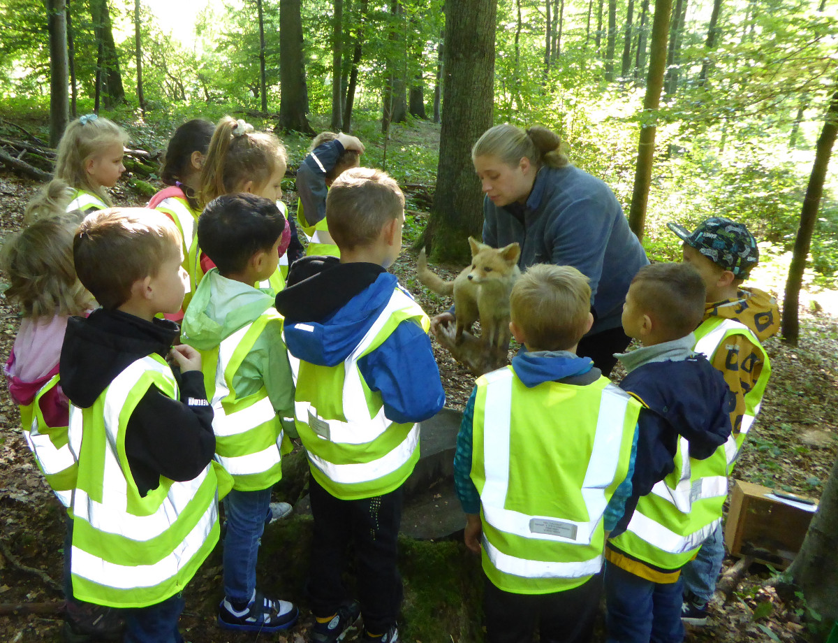 Kinder aus der Kindertagessttte Traumland gingen auf Entdeckungsreise in die Natur. (Foto: Kita)