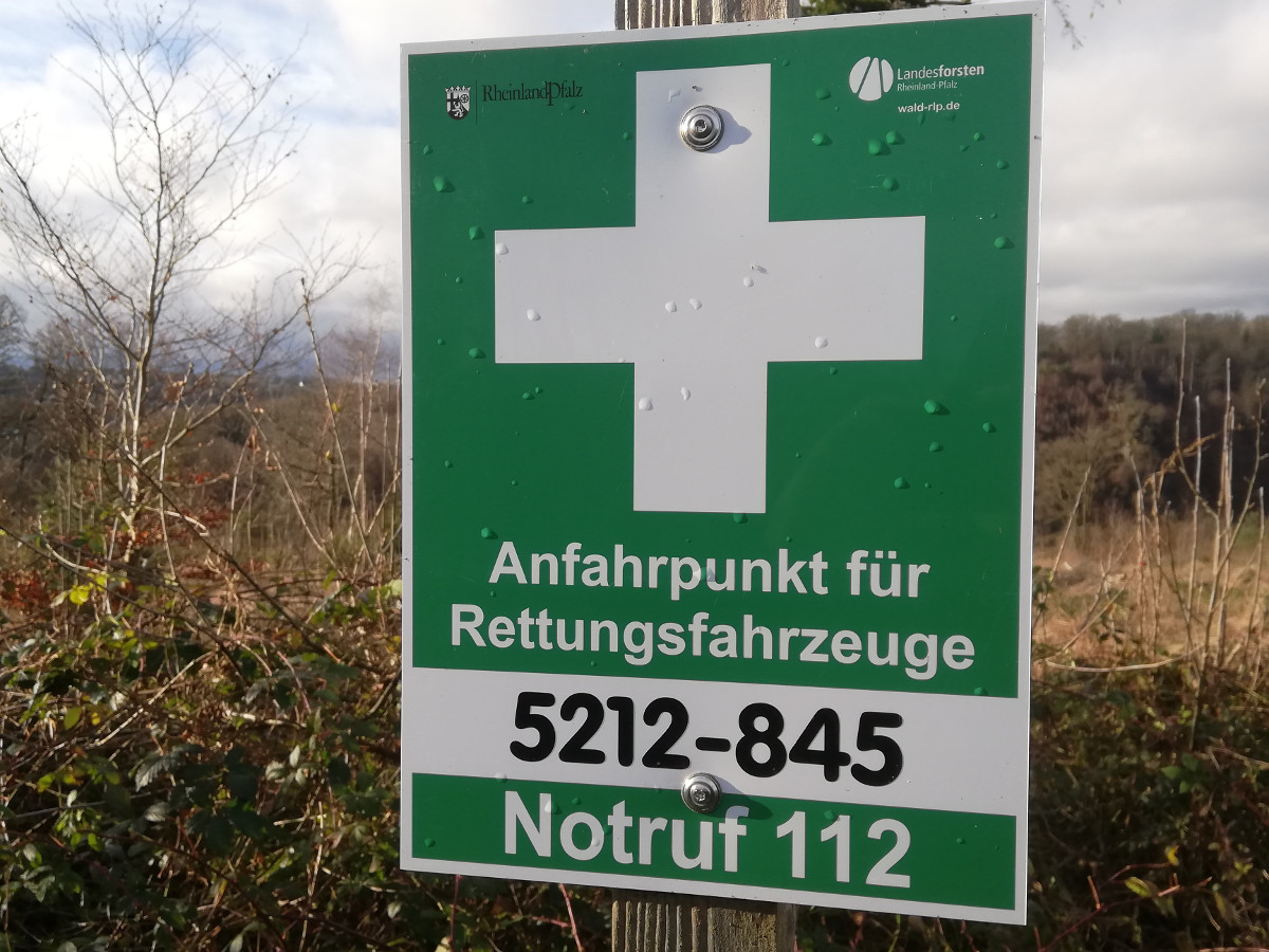 Wer im Wald auf Hilfe angewiesen ist, findet in regelmigen Abstnden grn-weie Schilder mit Rettungspunkten. (Foto: Kreisverwaltung) 
