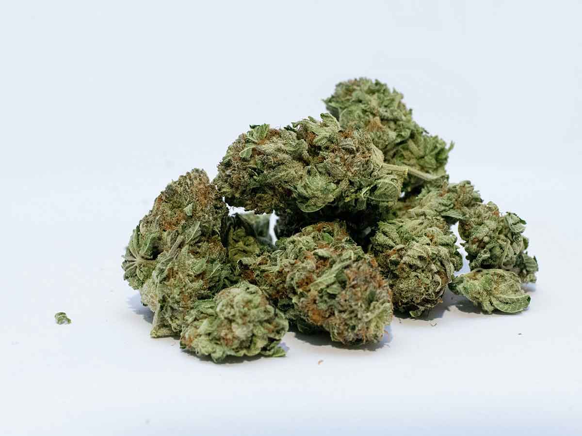 Groer Drogenfund: Zoll entdeckt 20 Kilogramm Marihuana in verstecktem Hohlraum