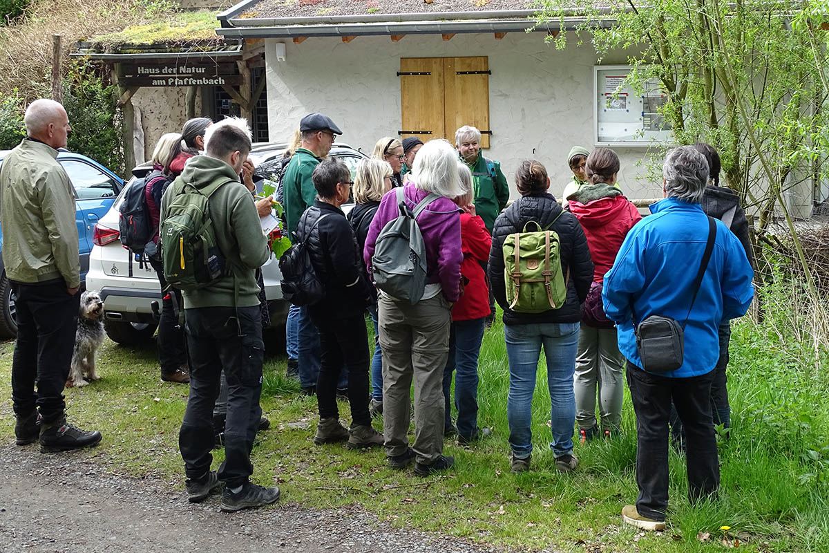 Kruterwanderung und Nachtfalter-Exkursion