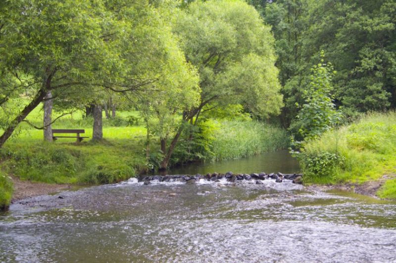 Wasser ist Leben - Lebendige Gewsser gemeinsam gestalten