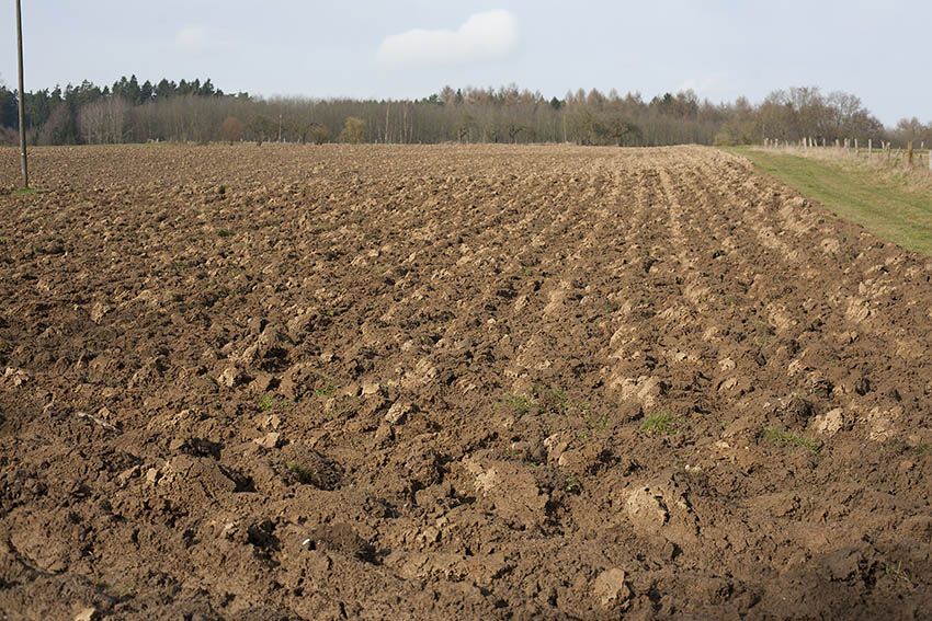 Untersttzung fr Junglandwirte sowie kleinere und mittlere Betriebe