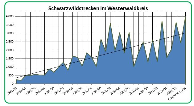 Das Diagramm zeigt die Zahlen der im Westerwaldkreis erlegten Wildschweine seit dem Jagdjahr 1981/82. Das Jagdjahr beginnt jeweils am 1. April und endet am 31. Mrz des Folgejahres. Aufgrund der bisherigen Streckenmeldungen fr das laufende Jagdjahr ist nach Einschtzung der Kreisverwaltung mit einem neuen Spitzenwert in der Grenordnung von 4.000 zu rechnen. Foto: Pressestelle der Kreisverwaltung