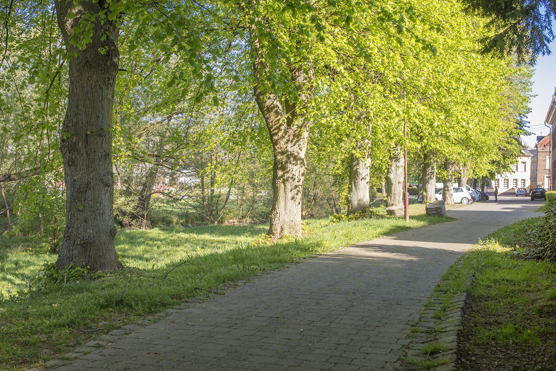 Was schenken zum Muttertag?