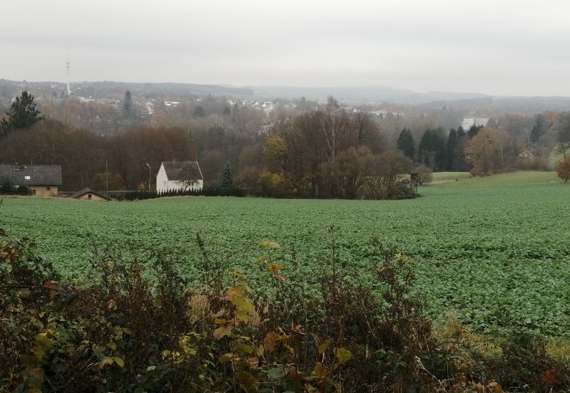 Blick auf die Freiflche, die zum Baugebiet "Auf