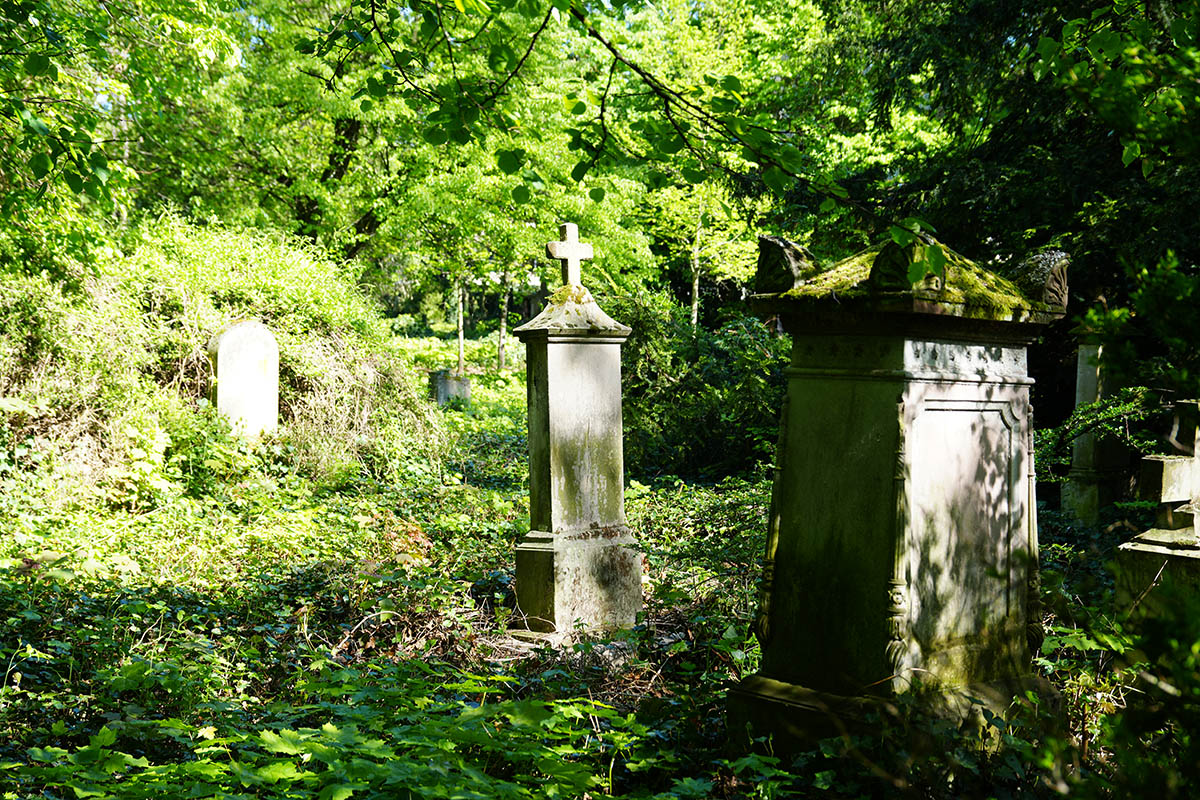 Neuwied entdecken: Letzte Stadtfhrungen der Saison