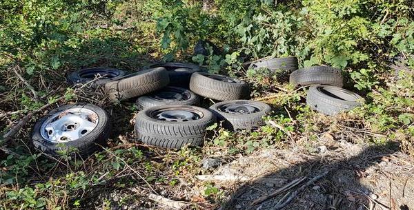 Die Reifen mssen im Bereich des Alten Frstenwegs nahe der Kreisstrae K 72 zwischen dem 4. und 6. September abgelegt worden sein. (Foto: Polizei)