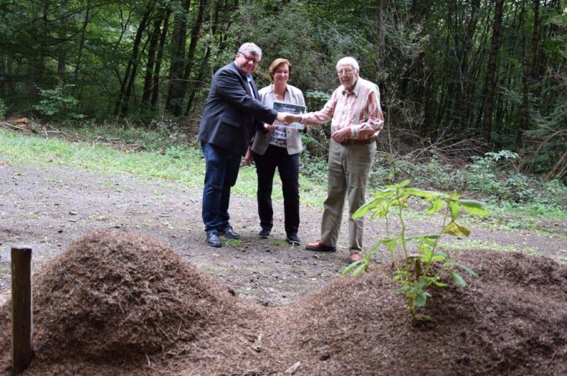 Von links: Michael Mahlert, 1. Kreisbeigeordneter und Umweltdezernent, Ina Heidelbach, Umweltreferentin Landkreis Neuwied und Wilfried Hofmann, Geschftsfhrer Ameisenschutzwarte Rheinland-Pfalz. Foto: privat