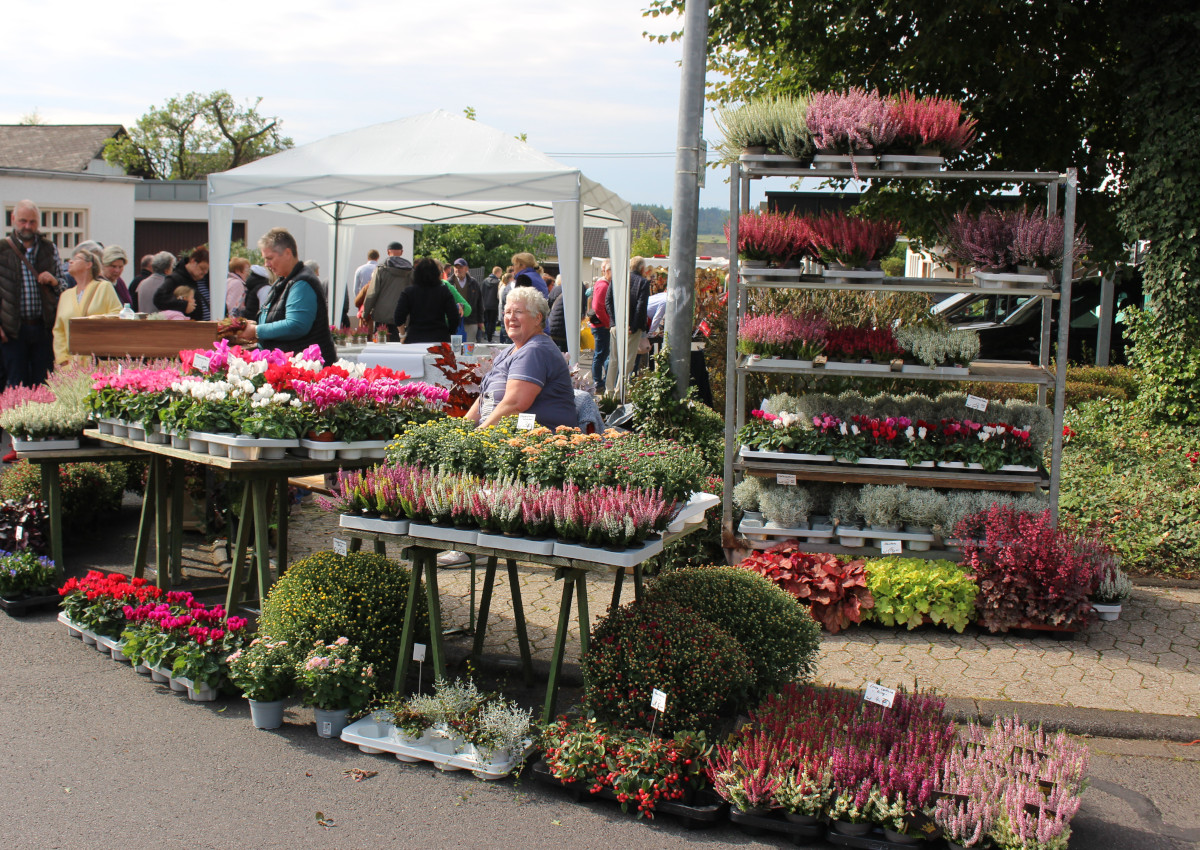 Beim Bauernmarkt gab es nicht nur Blumen ber Blumen. (Fotos: Wolfgang Rabsch)