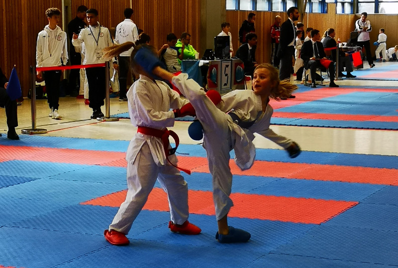 Der Karate-Nachwuchs aus Anhausen gab alles. Foto: Verein