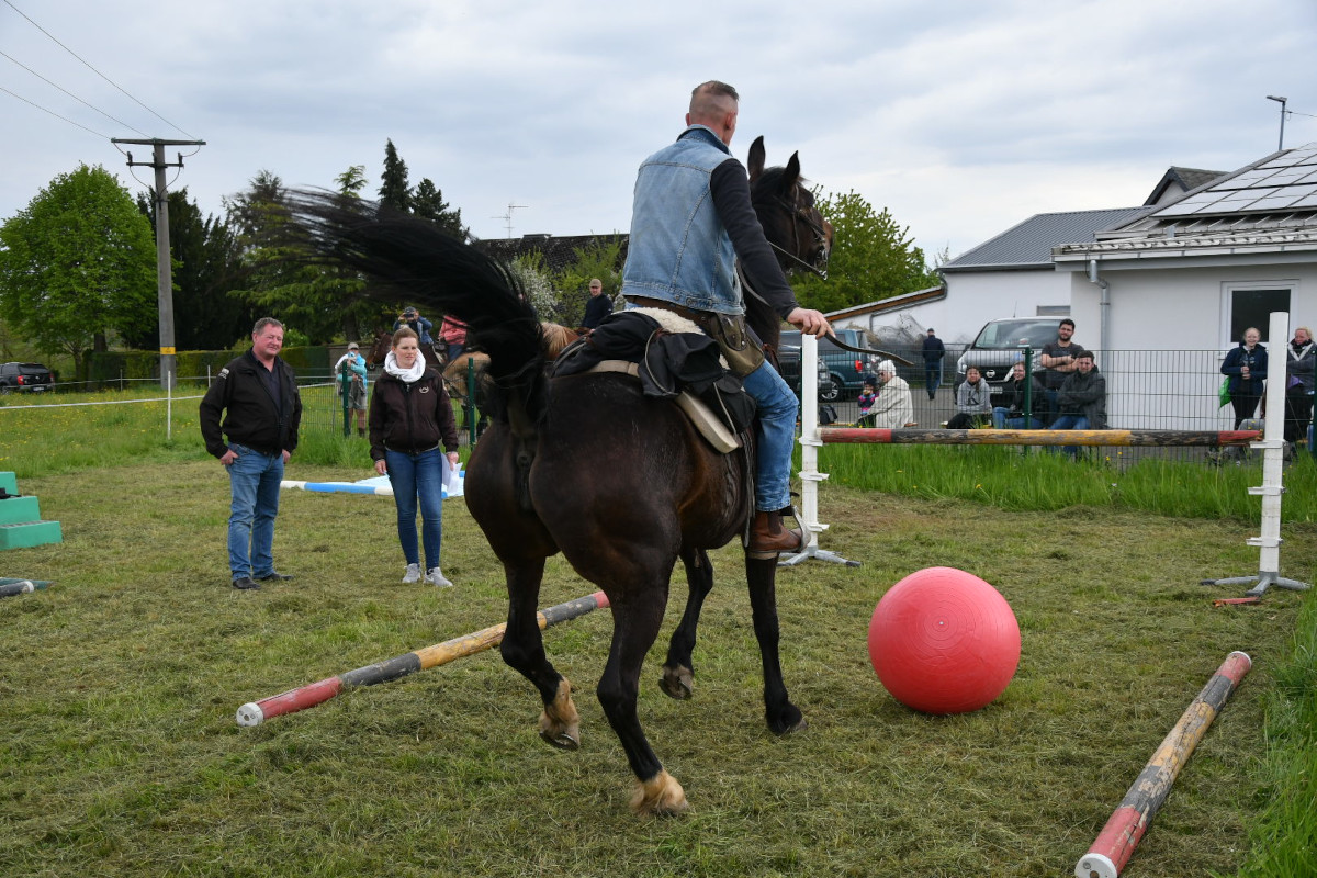 Auf die Reiter warteten verschiedene Geschicklichkeitsaufgaben. (Fotos: Holger Kern)