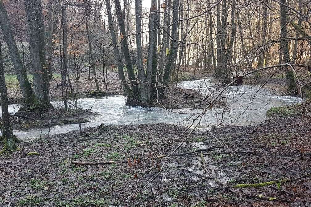 Der Aubach zum Beispiel fhrt reichlich Wasser, aber wie sieht es im Boden aus? Fotos: Frank Krause