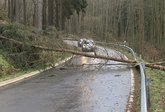 Auf der Kreisstrae K 51 zwischen Breitscheidt und Marienthal lag dieser Baum. (Foto: Feuerwehr Hamm) 