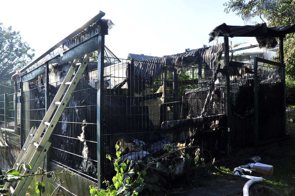 Feuer in Dttesfeld: Hhnerstall brennt vllig aus