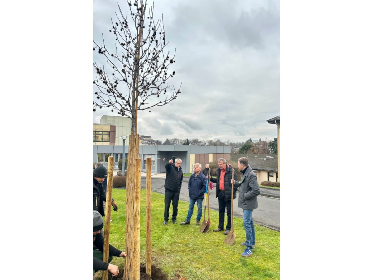 Mit Wurzeln in die Zukunft: KHDS strkt Umweltbewusstsein durch Baumpflanzung in Hachenburg