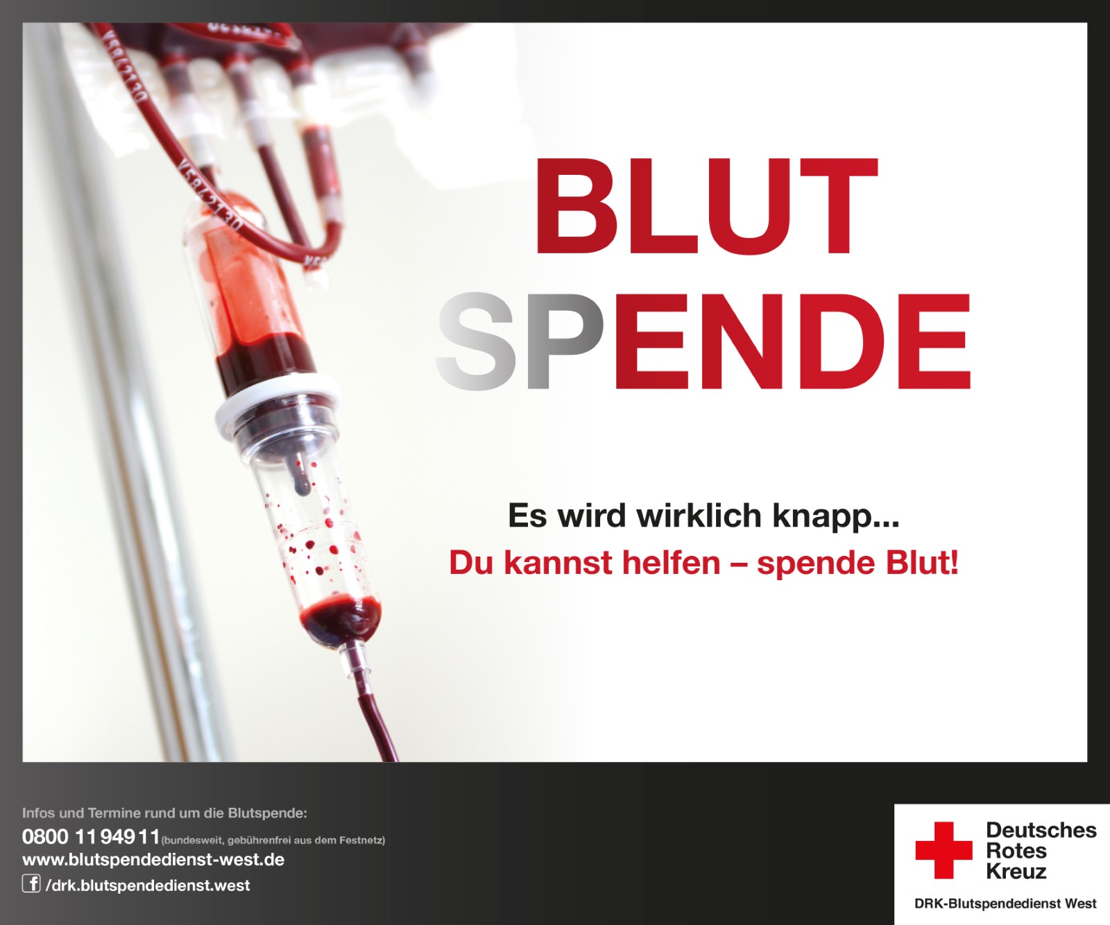 Blutspenden  Sie sind gefragt, jetzt! Termine im Januar im Westerwaldkreis