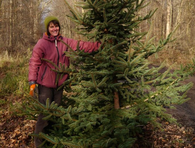 Blaufichte aus dem Ober-Olmer Wald. Foto: BUND/Alexandra Stevens