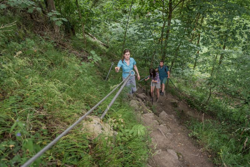 Wiedtaler Wandertag rund um Robach 