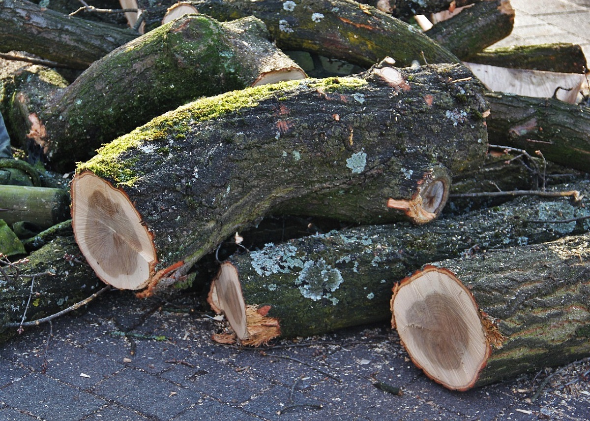 (Symbolbild: Pixabay)