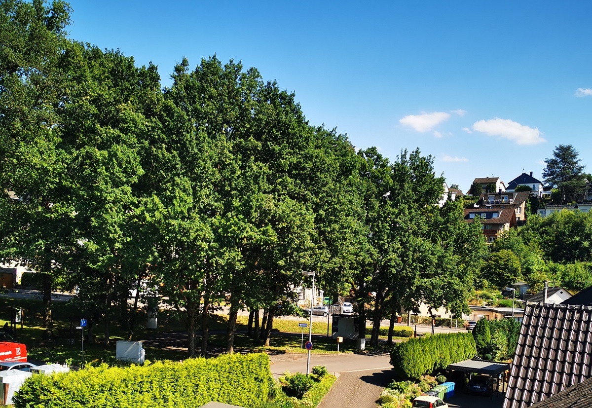 Neues Regenrckhaltebecken: Bume am Busparkplatz in Oberbieber werden gefllt