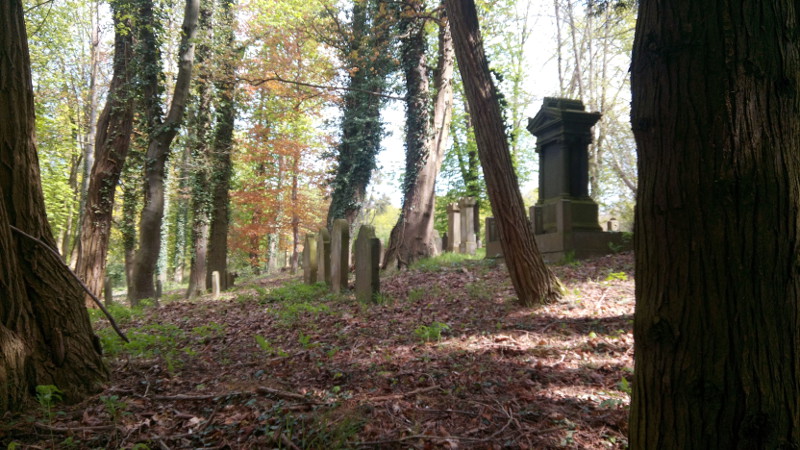 Fhrung auf dem Bendorfer Judenfriedhof