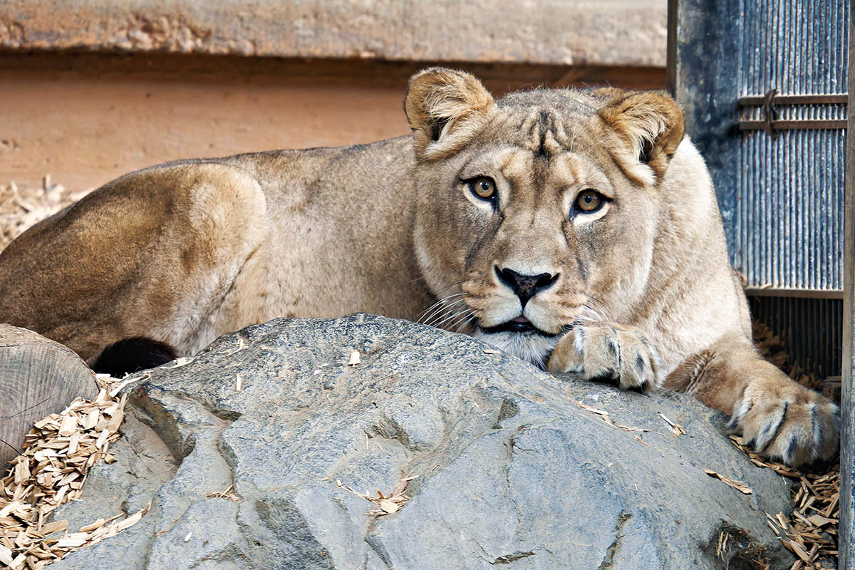 Sie war todkrank. Foto: Tobias_Lehmann