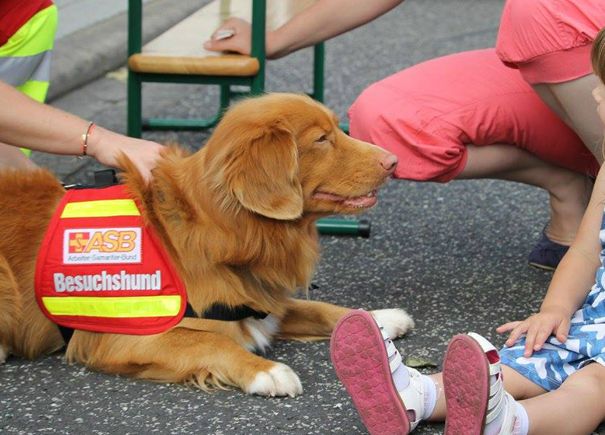 Hunde knnen sich positiv auf die Psyche von Menschen auswirken. Foto: privat