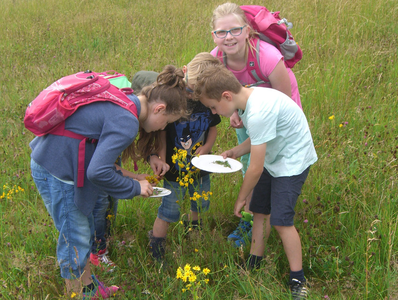 Die Kinder der Ferienspaaktion hatten in Wiesen und Wldern vieles zu entdecken. Foto: Privat