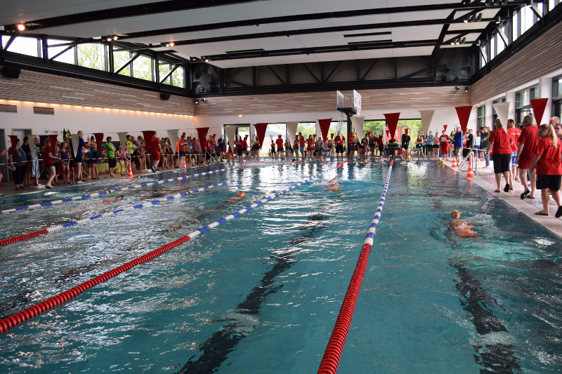 Rettungsschwimmer: Spannende Meisterschaften in Betzdorf