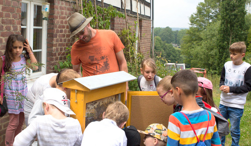Einen aufregenden Ferientag mit der Biene verbrachten die Kinder des Leseclubs Alsberg in Mllers Immengarten in Mittelhof. (Foto: Veranstalter) 